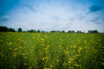 xian2013040515.jpg