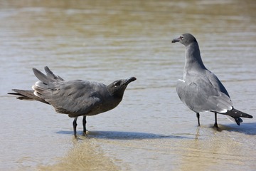 201040