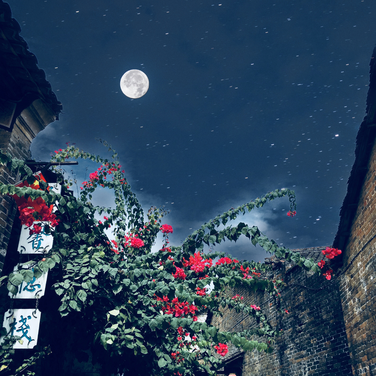 山河远阔人间烟火一轮明月照人家