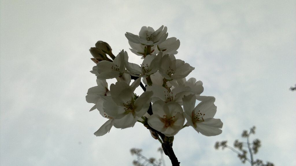 2013-03-15-5534<br />
