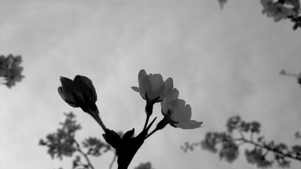 2013-03-15-5538<br />
