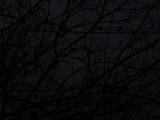 DSCF3773.JPG