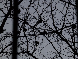 DSCF3808.JPG