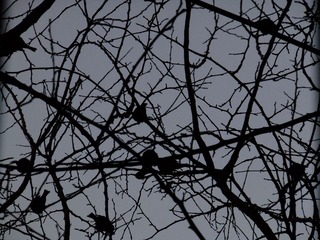 DSCF3810.JPG