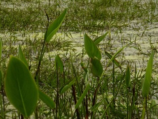 DSCF3923.JPG