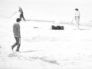 DSCF4455.JPG