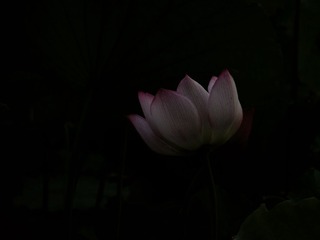 DSCF6534.JPG