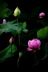 松江公园0023.jpg-1