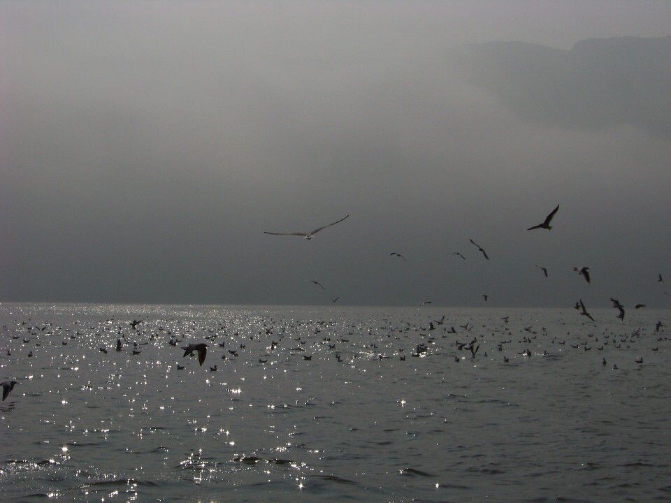 100_3490<br />
