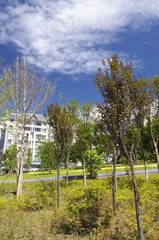 _IGP6429