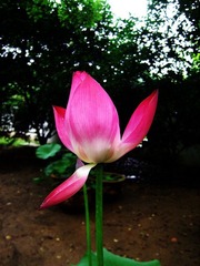 SSA57633