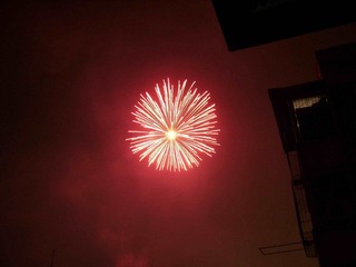 SSA54560