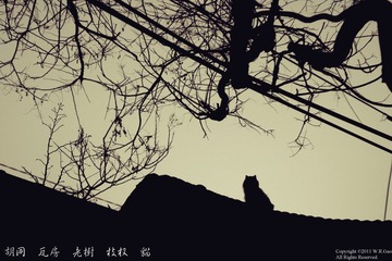 IMG_8635调整