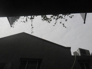 SAM_1236