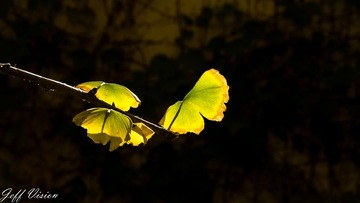 20131106-2