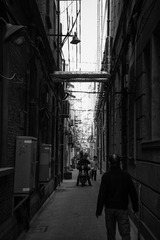 _DSC2589
