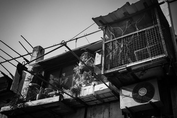 _DSC2769