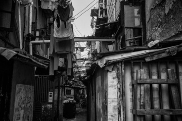 _DSC2774