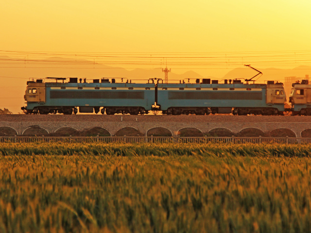 Regen_莫北的分享 - Regen_莫北 - 图虫摄影网