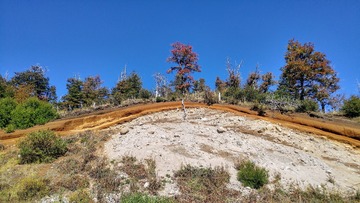 仙山