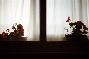 KODAK 200 14