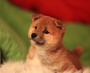 IMG_8120.JPG