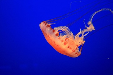 IMG_7827.JPG