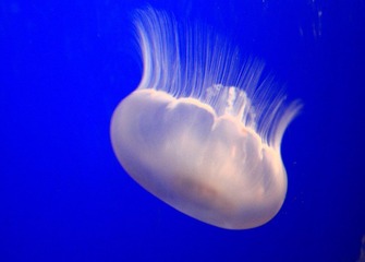 IMG_7831.JPG