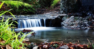 Creek in Campus