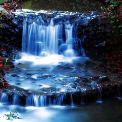 Creek in Campus