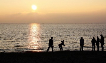 Sunset, People, Dogs