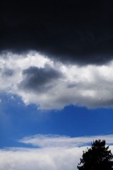 tree and clouds