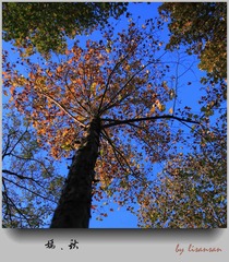 IMG_0324__