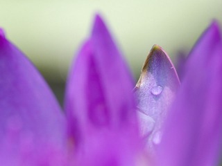 DSC_4291s