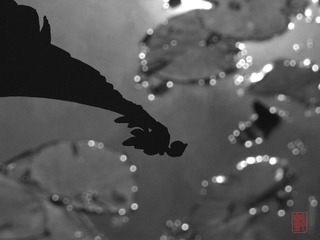 DSC_4148s