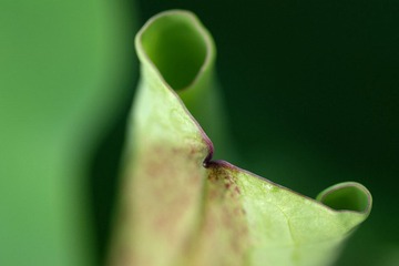 DSC_4133s