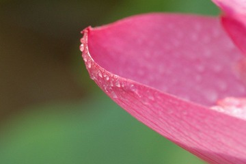 DSC_4128s