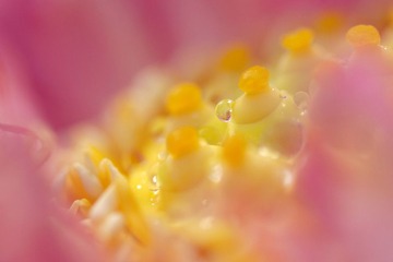 DSC_4126s