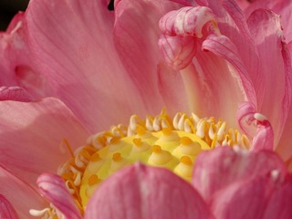 DSC_4106s