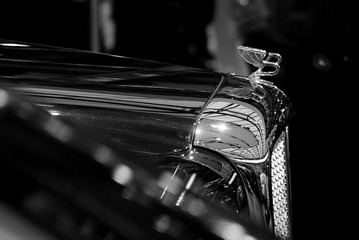 DSC_2500