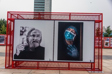 DSC_2208