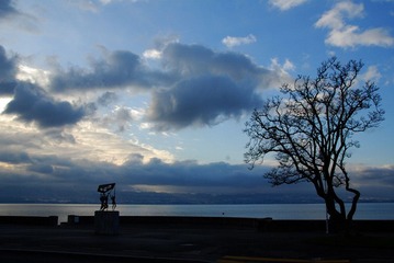 DSC_1907