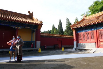 朦胧林立