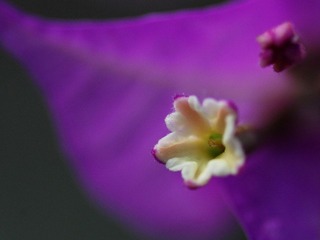 dsc_7626s.jpg