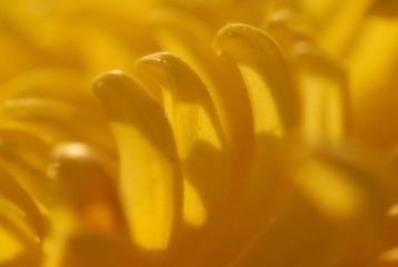 阳光4