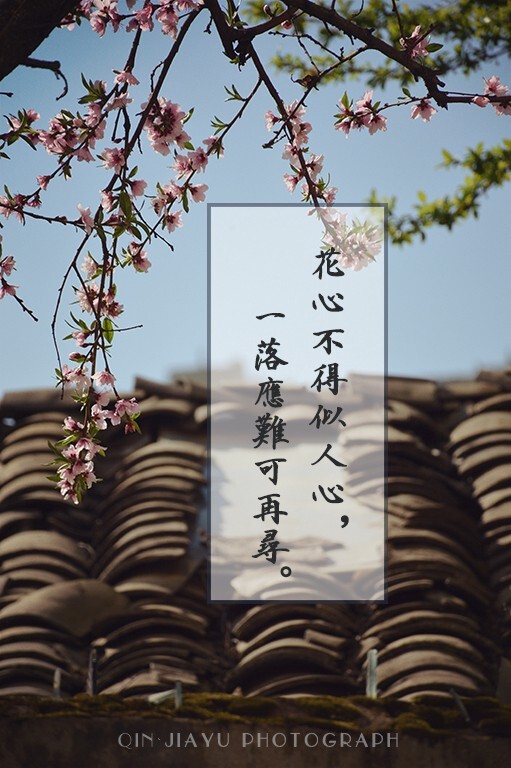 去罗平玩的时候在住的旅馆窗外拍的