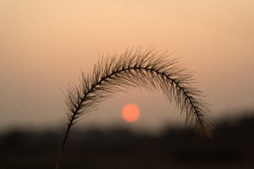 02019001