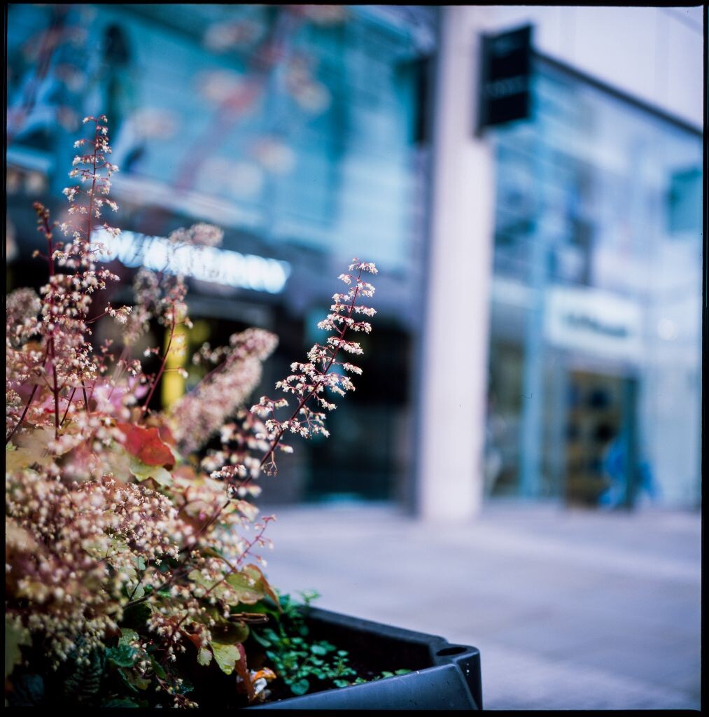 Manchester city center, Rolleiflex 3.5F, Fujichrome Provia 100F