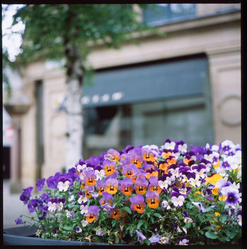 Manchester city center, Rolleiflex 3.5F, Fujichrome Provia 100F