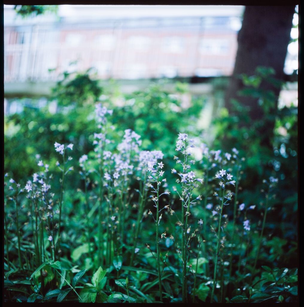 Manchester city center, Rolleiflex 3.5F, Fujichrome Provia 100F
